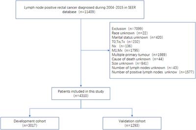 A nomogram and risk classification system forecasting the cancer-specific survival of lymph- node- positive rectal cancer patient after radical proctectomy